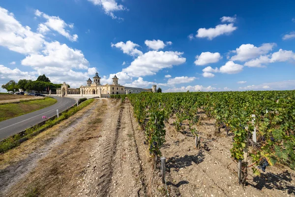 Виноградники Chateau Cos Estournel Бордо Аквитания Франция — стоковое фото