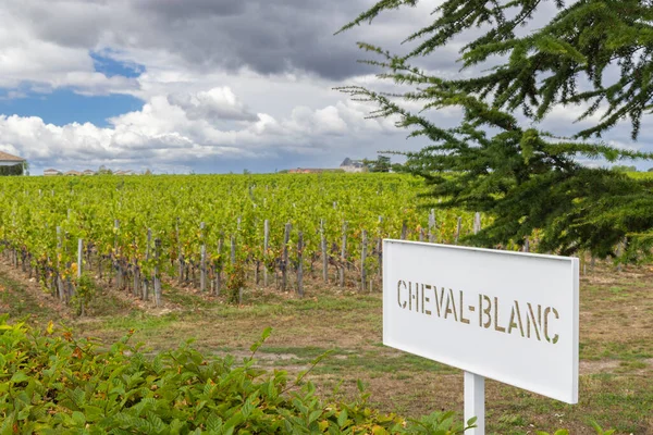 Tipik Üzüm Bağları Grand Cru Classe Chateau Cheval Blanc Saint — Stok fotoğraf
