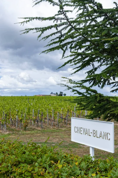 法国阿基坦圣埃米利翁Cheval Blanc城堡附近典型的葡萄园 1Er Grand Cru Classe — 图库照片