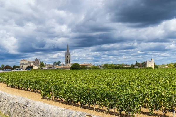 Vinhedos Com Saint Emilion Cidade Aquitaine Gironde França — Fotografia de Stock