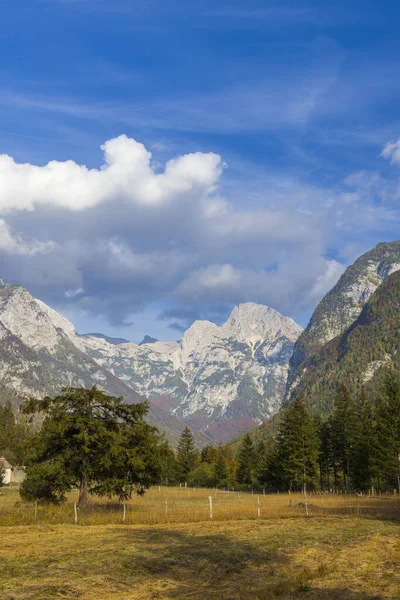 Пейзаж Національному Парку Триглавський Словенія — стокове фото