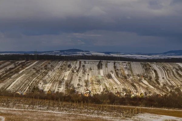 捷克共和国摩拉维亚南部Mutenice附近的冬季葡萄园 — 图库照片