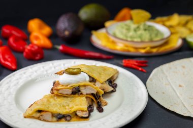 quesadilla with chicken meat and beans and guacamole with nachos