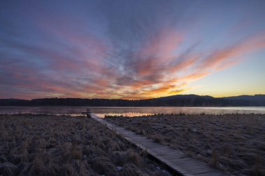 Doğa rezervi Olsina, Sumava Ulusal Parkı, Çek Cumhuriyeti