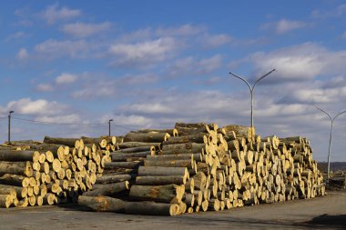 wooden logs on the open air
