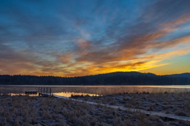 Doğa rezervi Olsina, Sumava Ulusal Parkı, Çek Cumhuriyeti