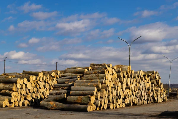 Wooden Logs Open Air — Foto de Stock