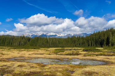 Slovenya 'daki Triglavski ulusal parkında manzara