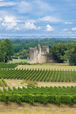 Sauternes şarap bölgesinde Budos Şatosu (Chateau de Budos), Gironde ayrılışı, Aquitaine, Fransa
