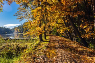 Typical autumn landscape in Trebonsko region near Trebon city in Southern Bohemia, Czech Republic