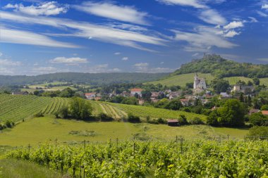 Falkenstein harabeleri ve üzüm bağı olan kasaba, Aşağı Avusturya, Avusturya