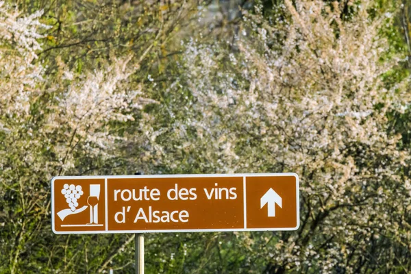 Vinařská Cesta Poblíž Colmar Alsasko Francie — Stock fotografie
