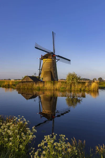 Traditional Dutch Windmills Kinderdijk Unesco Site Netherlands — Stockfoto