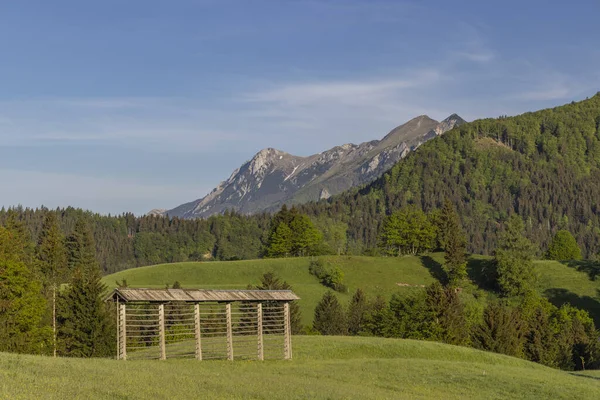 Sppring Landscape Sorica Slovenia — Stock Photo, Image