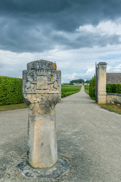 Chateau Yquem Sauternes Burdeos Aquitania Francia —  Fotos de Stock