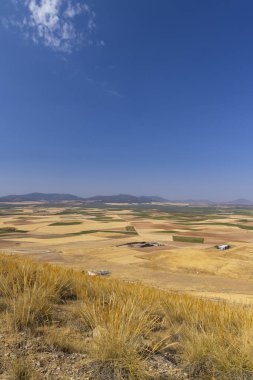 landscape of Castilla La Mancha near Consuegra, Spain