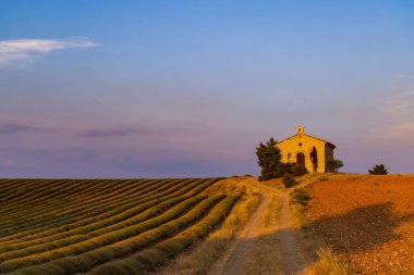 Chapel in Plateau de Valensole, Provence, France