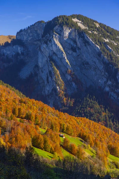 奥地利福拉尔贝格Bregenz区Bregenzer Wald Damls附近的典型景观 — 图库照片