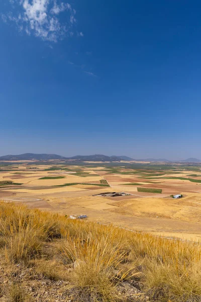 Landscape Castilla Mancha Consuegra Spain — Zdjęcie stockowe