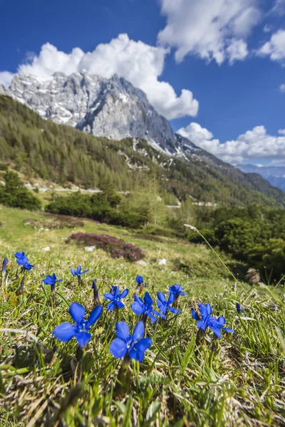 Landscape Vrsic Triglavski National Park Slovenia — Stock Photo, Image