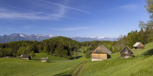 Typical Wooden Log Cabins Gorjuse Triglavski National Park Slovenia — Stock Photo, Image