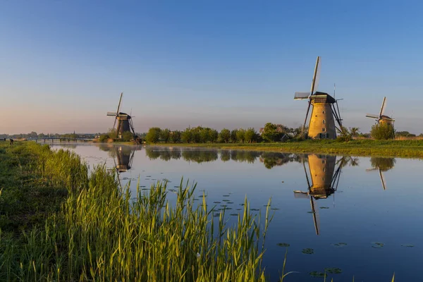 Traditional Dutch Windmills Kinderdijk Unesco Site Netherlands — Foto de Stock