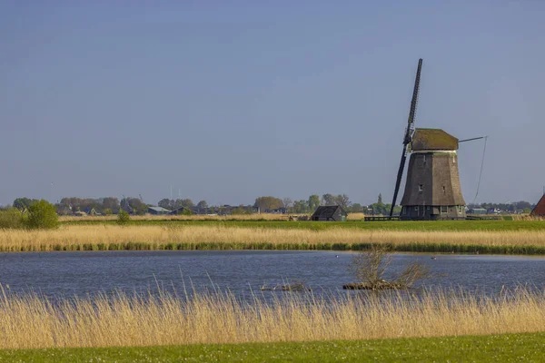 Old Windmill Alkmaar Netherlands — Foto de Stock