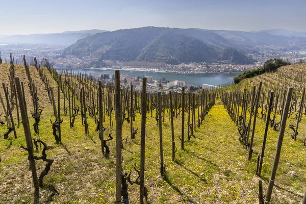 Grand Cru Vineyard Chapel Saint Christopher Tain Hermitage Rhone Alpes — ストック写真