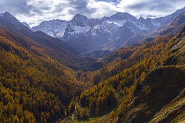 Texelgruppe doğa parkı (Parco Naturale Gruppo di Tessa) Timmelsjoch yakınlarında - yüksek Alp yolu, Güney Tyrol, İtalya