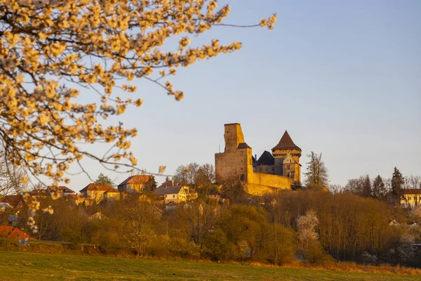 捷克共和国Vysocina地区Lipnice Nad Sap Org Ou城堡 — 图库照片