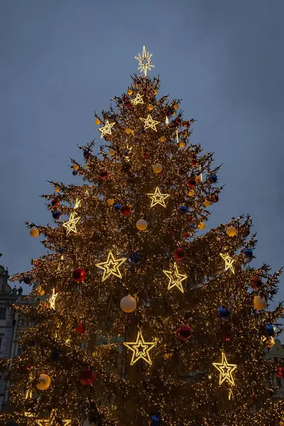 捷克共和国布拉格老城广场的圣诞树 — 图库照片