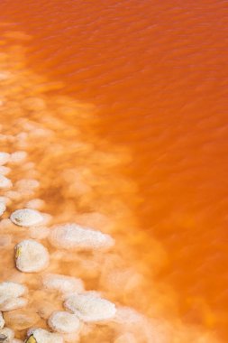 Camargue bölgesindeki Salin de Giraud, Provence, Fransa