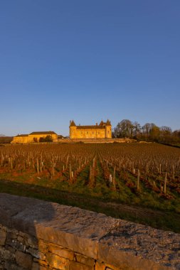 Chateau de Rully Şatosu, Saone-et-Loire kalkışı, Burgundy, Fransa