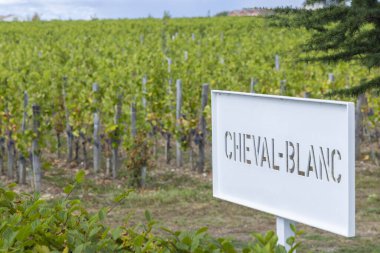 Tipik üzüm bağları (1 er Grand Cru Classe A) Chateau Cheval Blanc, Saint-Emilion, Aquitaine, Fransa