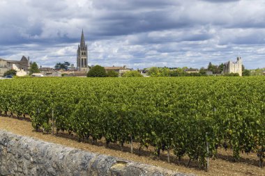 Saint-Emilion kasabası, Aquitaine, Gironde, Fransa 'daki üzüm bağları