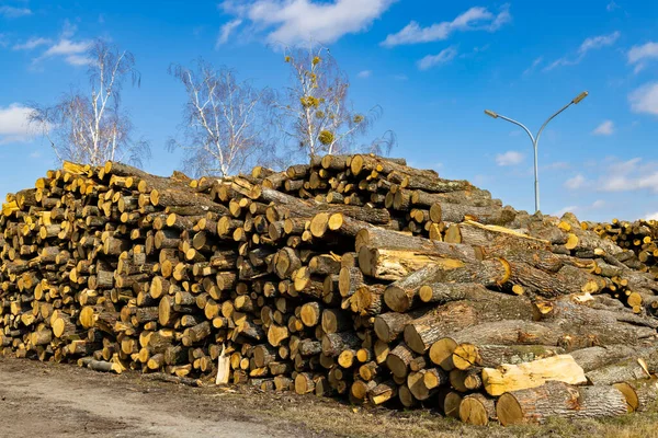 Wooden Logs Open Air — Foto Stock