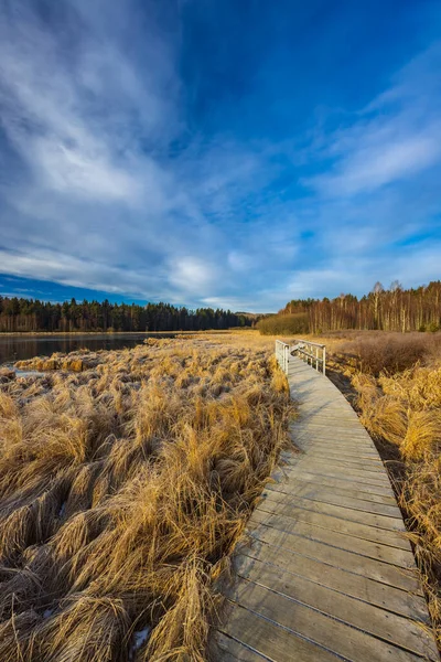 Reserva Natural Olsina Sumava National Park República Checa — Foto de Stock