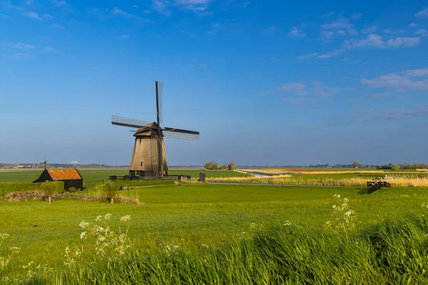 Molino Viento Noord Holland Países Bajos — Foto de Stock