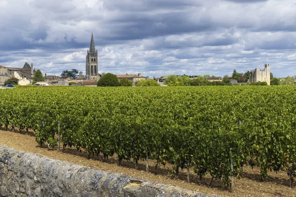 Виноградники Городом Сен Озон Афален Жиронда Франция — стоковое фото