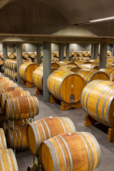 Wine Cellar Full Wooden Barrels Barolo Piedmont Italy — Stock Photo, Image
