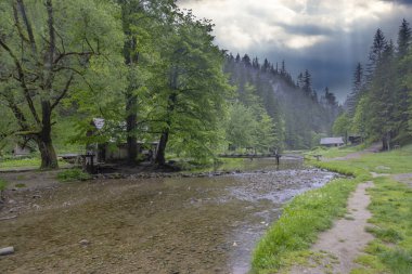 Slovakya 'nın Kvacianska Vadisi yakınlarındaki su değirmenleri