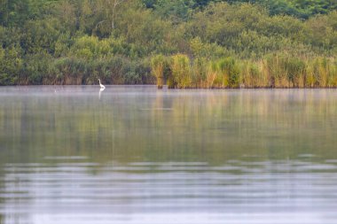 Trebon 'daki Svet Gölü, Güney Bohemya, Çek Cumhuriyeti