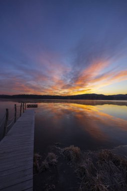 Doğa rezervi Olsina, Sumava Ulusal Parkı, Çek Cumhuriyeti