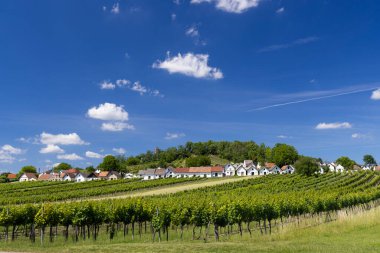 Traditional wine cellars with vineyard in Galgenberg near Wildendurnbach, Lower Austria, Austria