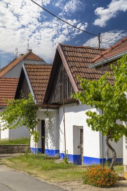 Traditional wine cellars in Blatnice pod Svatym Antoninkem, Slovacko, Southern Moravia, Czech Republic