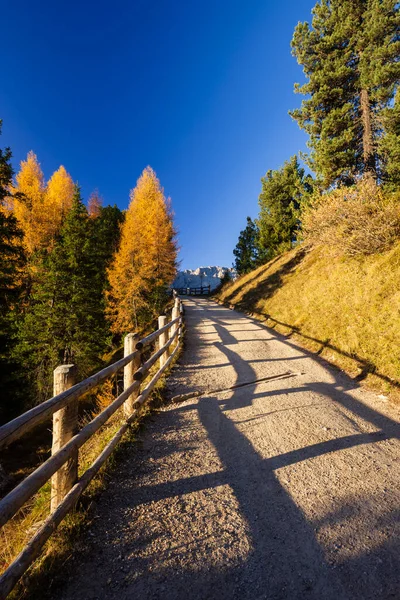 イタリア 南チロル州サン マルティン トール近くのドロミティのPeitlerkofel山 — ストック写真