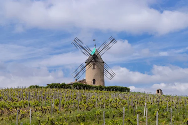 Molino Moulin Vent Romaneche Thorins Chenas Beaujolais Saone Loire Bourgogne — Foto de Stock