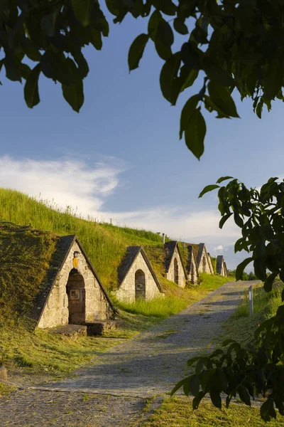 Broche Gombos Hegyi Hercegkut Site Unesco Grande Plaine Hongrie Nord — Photo