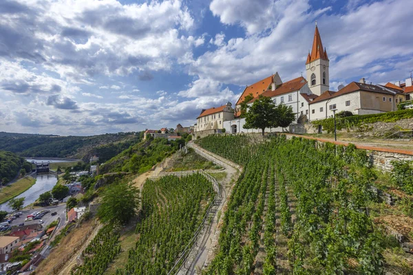 Paradise Vineyard Znojmo Town Southern Moravia República Checa — Fotografia de Stock