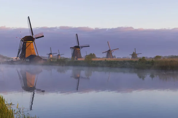 Traditional Dutch Windmills Kinderdijk Unesco Site Netherlands — Zdjęcie stockowe